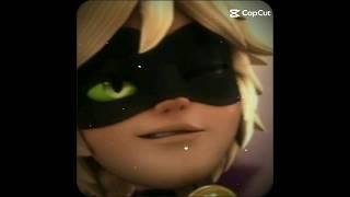 {Catnoir edit}#catnoir #miraculousladybug #miraculous #chatnoir #vibes 