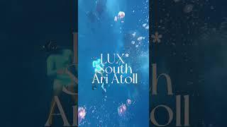 고래상어 투어로 유명한 몰디브 LUX* South Ari Atoll