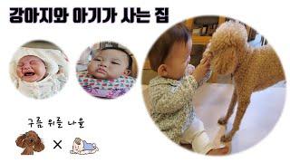 (인트로)구름 위를 나율
