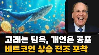 비트코인 고래 매집은 상승 전조