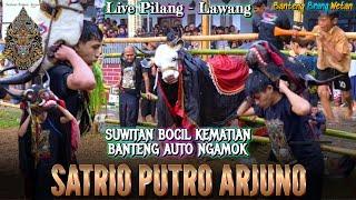 Ampun,, Bocil Suwitan Bar Bar Bikin Banteng SATRIO PUTRO ARJUNO Ngamok Parah,, Live Pilang Lawang