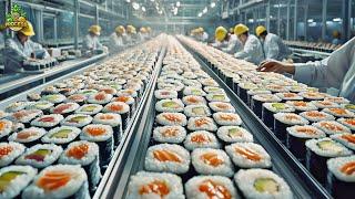 How Millions of Sushi Rolls Are Made in a Factory | Sushi Rolls Factory Process