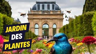 Jardin des Plantes (Garden of Plants), haven of peace and a piece of nature in the heart of Paris.