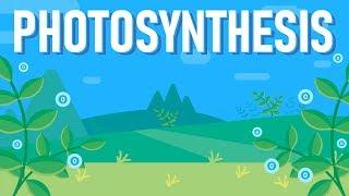 What is Photosynthesis?