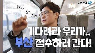 [김영편입] 부산편입학원, PLC 부산캠퍼스! 부산에도 드디어 김영이!