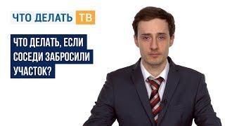 Что делать, если соседи забросили участок?