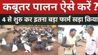 Kabutar Palan Kaise Karen । How to Start Pigeon Farming। कबूतर पालन छत्तीसगढ़ । Kabutar Farming cg