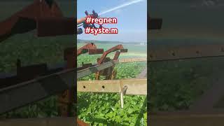 #rain  #irrigation #system