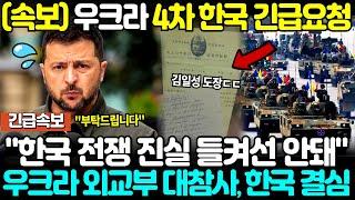 (속보) 우크라 4차 한국 긴급요청 "한국 전쟁 진실 들켜선 안돼" 우크라 외교부 대참사에 한국 결심