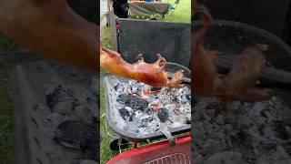 Roasting a NYC Rat in Bronx Park on Labor Day  Classic! #nyc #rats #bronx #laborday #bbq #nycrats