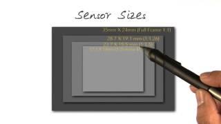 Sensor Sizes