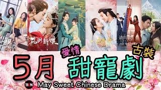 2022年5月甜寵劇整理 高甜度神劇快來Get收藏! MAY Sweet Drama|Tien Channel