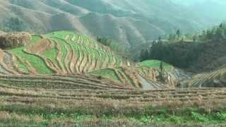 Hiking in the Longji Rice Terraces - Ping'an to Tian Tou