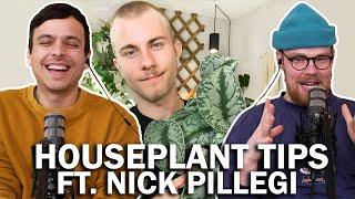 Houseplant Tips: the best advice you'll get ft. Nick Pileggi