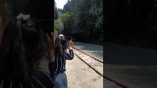 Toy train NJP-Darjeeling/Darjeeling himalayan railways/subscribe 4 more video/details