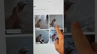 سایت #هوشمصنوعی #رایگان تبدیل عکس به کاور حرفه ای محصول 2023 | سایت هوش مصنوعی طراحی کاور #یوتیوب