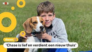 De hond van Pepijn was proefdier in een laboratorium