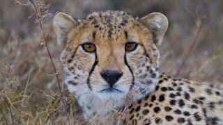 Chris Bray Photography's Kenya MigrationSafari