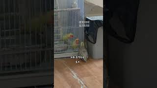 토리 형님들 약 올리기 ㅋㅋㅋ