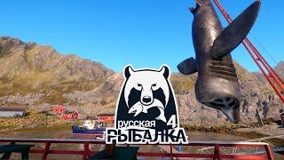 Russian Fishing 4  РР4 Русская Рыбалка 4  - 179 #   (PC - 2018) #stream