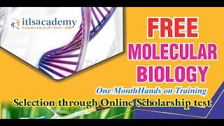 FREE MOLECULAR BIOLOGY TRAINING