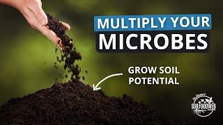 3-Steps to Rapid Soil Regeneration Part 2: Multiplying the Beneficial Microbes