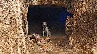 I Built an UNDERGROUND Shelter With PRIMITIVE TOOLS - Bushcraft Survival Camping, Diy, Nature Sounds