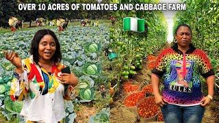 WEST AFRICA MILLIONAIRE BUILDING NIGERIA's BIGGEST FARM SHARES SECRETS TO FRUITFUL TOMATOES NURSERY