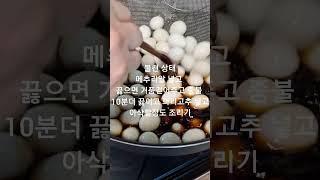 초간단 영양 밑반찬 장조림계의신세계 마성의 꽈리고추 메추리알 장조림
