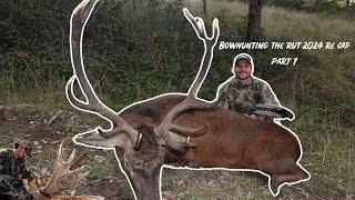 Bowhunting The Rut Australia 2024 - Re Cap ( Part 1 )