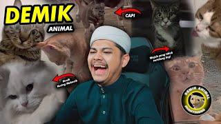 NGABUBURIT BARENG KUCING MEKANIKReaction Demik Animal