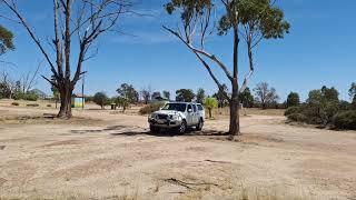 Minnievale Free Camp WA near Dowerin. Weekends Around Perth Dog Friendly and Toilet 2h East of Perth