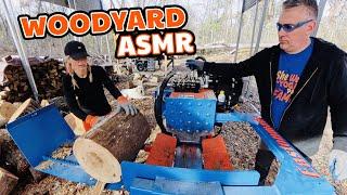 Firewood From Every Angle - Ultimate Woodyard ASMR