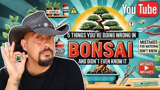 5 Things You're Doing Wrong in Bonsai and Didn't Even Know It