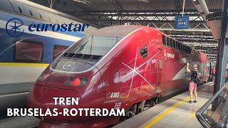 EUROSTAR - Tren de alta velocidad desde Bruselas (Bélgica) hasta Rotterdam (Países Bajos)