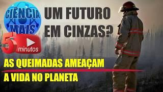 Um Futuro em Cinzas - As Queimadas Ameaçam a Vida no Planeta