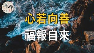 佛禪：心若向善，福報自來，行善積德是留給子孫最好的財富