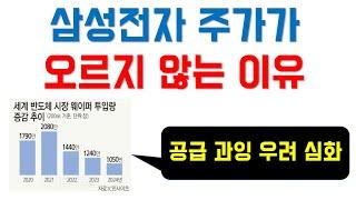 삼성전자 주가가 오르지 않는 이유 | 므두셀라 | 삼성전자 | 가치투자