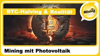 Zum Bitcoin (BTC) Halving die nackte Realität beim Crypto Mining mit Autarkie PV Anlage!