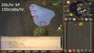 Oldschool Runescape Dark crab fishing guide