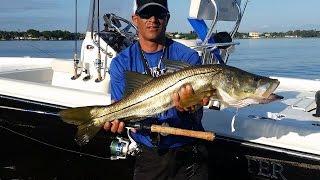 Fishing Report - October Tampa Bay Inshore Snook Fishing