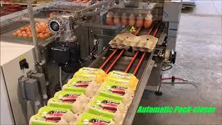 Farmpacker  Repacker  egg boxes, DAMTECH.