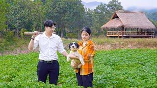 Rich CEO Jack Confesses His Love to Poor Single Mother Tu Tien - Journey Build a Farm | Ly Tu Tien