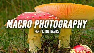 Macro Photography | Part 1: The Basics