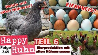 Eierproduktion mit alten Hühnerrassen: Eierpreis? Wohin mit alten Hühnern? Teil 6 - HAPPY HUHN E349