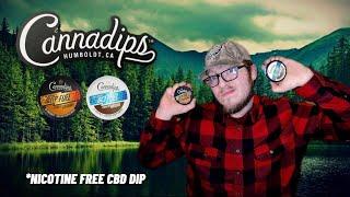 Cannadips Go and Sleep Fuel Review