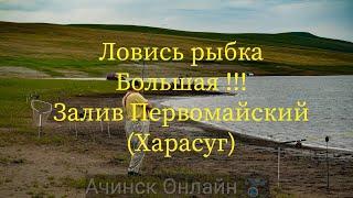 Ловись рыбка большая Залив Первомайский Ачинск Онлайн