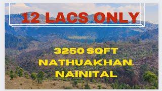 #114.      Nali Land , Valley View , Nathuakhan , Nainital  Just 12 Lacs