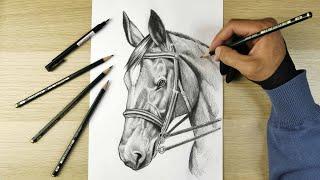 | رسم سهل | رسم  بقلم الرصاص how to draw horse drawing easy step by step | drawing | dibujo