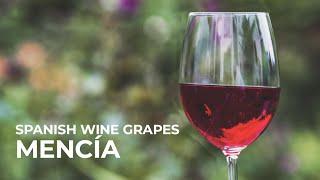 Spanish Wine Grapes: Mencia